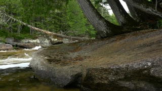 Christian Video Loops, River, Water, Forest, Landscape, Stream