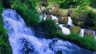 Cool Background Animations, River, Stream, Forest, Water, Waterfall