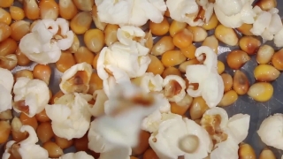 Glitch Stock Footage, Popcorn, Corn, Cereal, Food, Vegetable