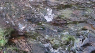 Low Cost Stock Video, Water, River, Rock, Landscape, Stone