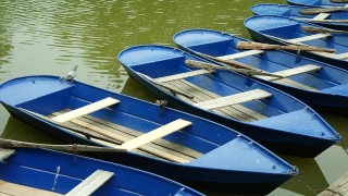 Stock Footage, Paddle, Oar, Boat, Water, Blade