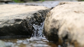 Video Background Downloads, Bird, Water, Rock, Stone, River