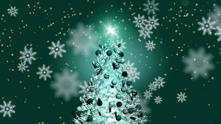 Video Clips Website, Fir, Snow, Winter, Snowflake, Decoration
